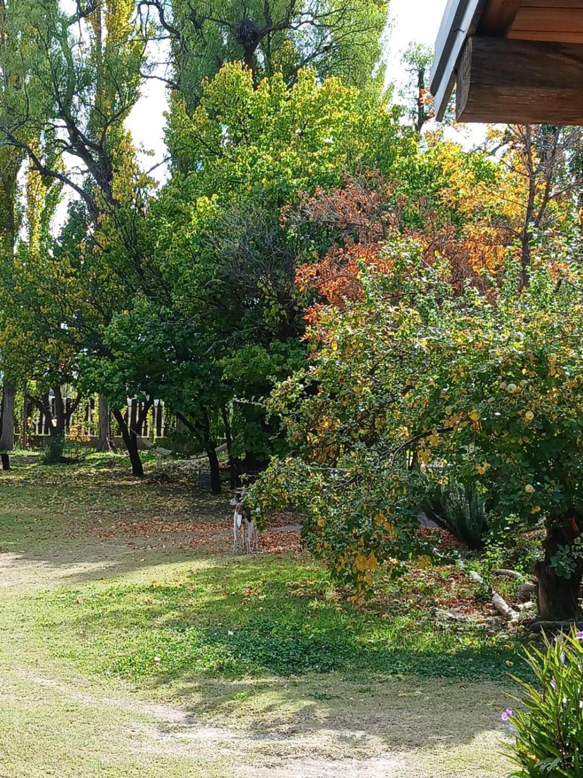 Refugio Del Alma San Rafael (Mendoza)