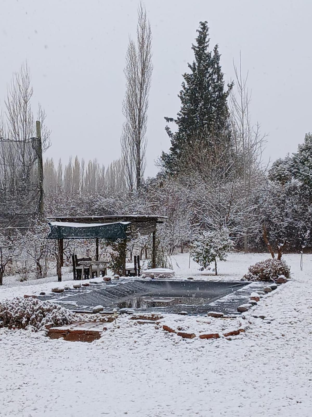 Refugio Del Alma Homestay San Rafael (Mendoza)
